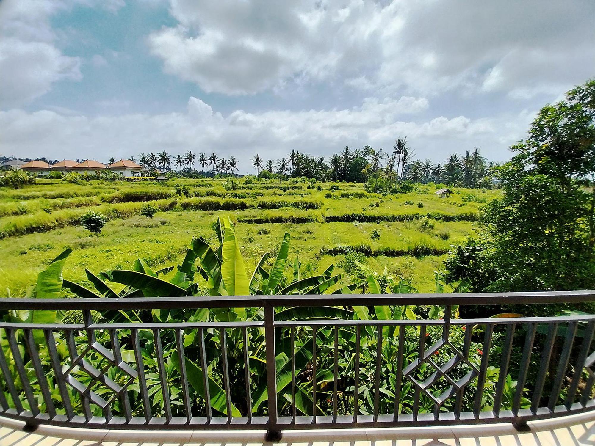 Puri Prana Guest House Ubud Eksteriør billede